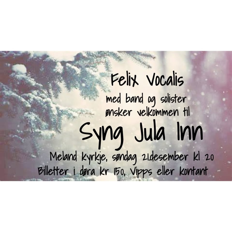 Julekonsert med Felix Vocalis søndag 21. desember kl.20:00