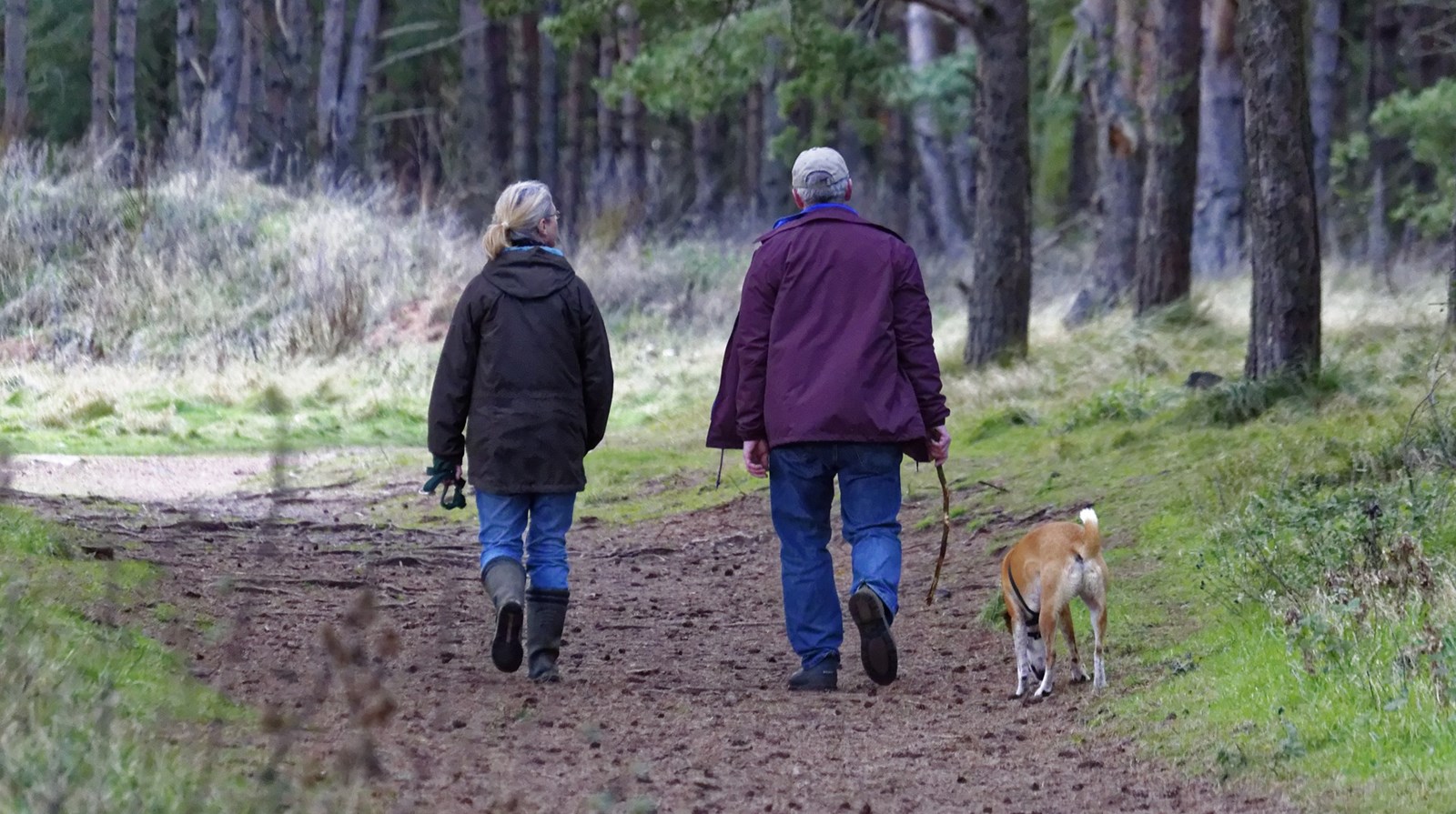 Besøksteneste i Radøy