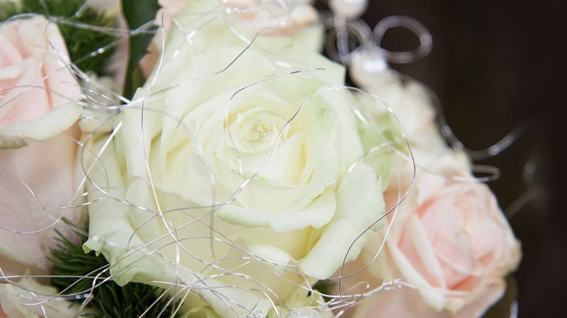 Pynting, fotografering og videopptak