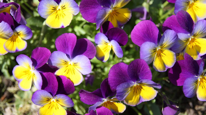 Vannet er slått på