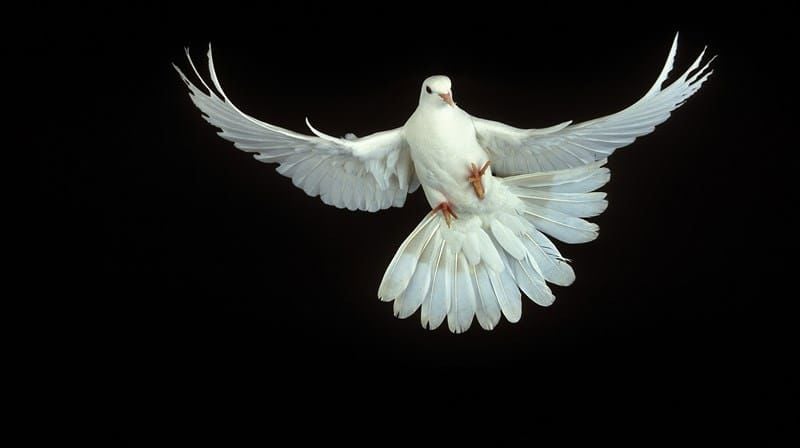 Yogagudstjeneste mandag 21. mai kl. 20 - 21.15