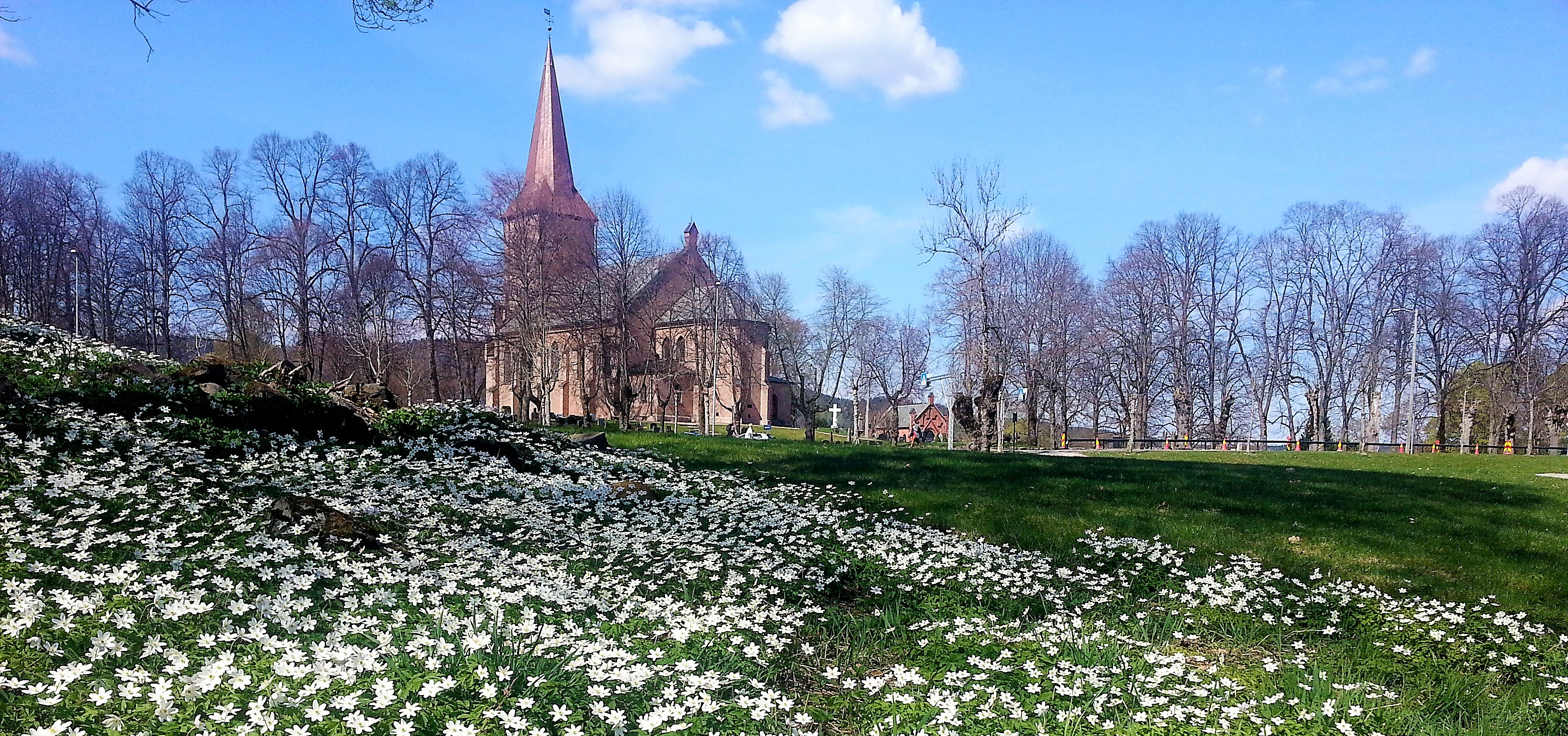 11 kandidater ved menighetsrådsvalget i september