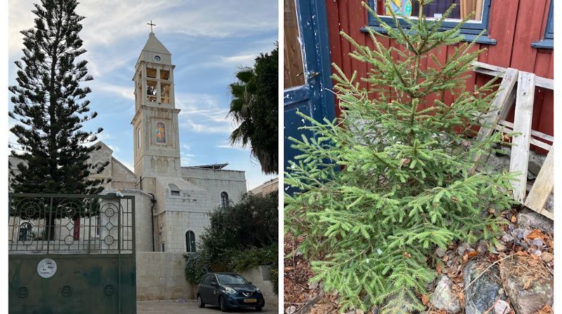 Bilde av både kirken i Beit Jala og juletreet som doneres