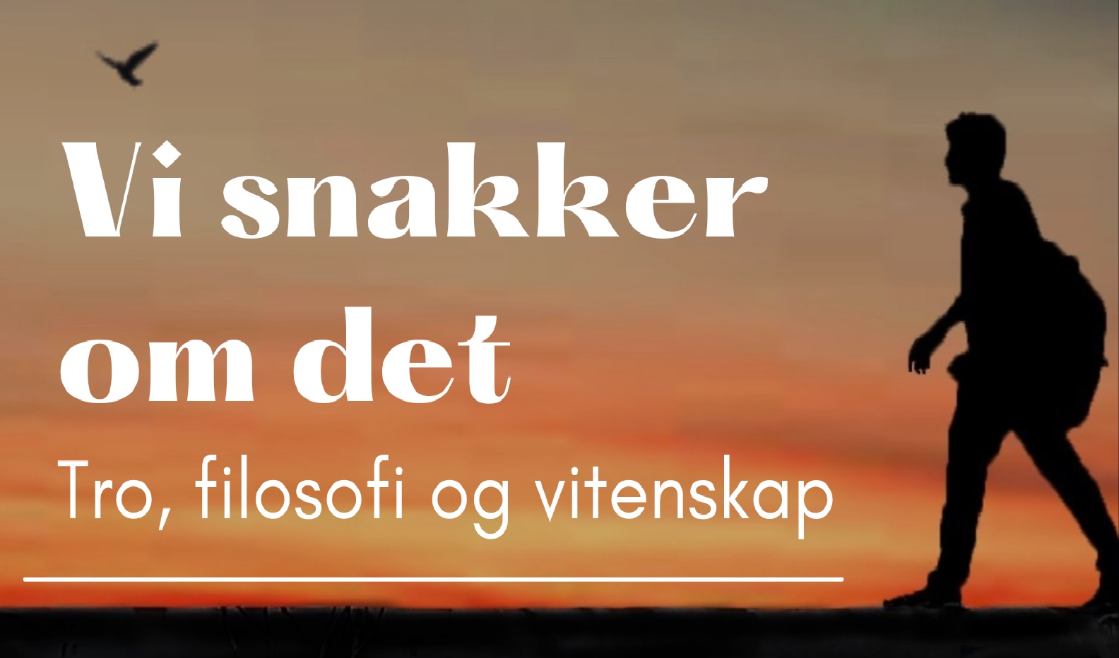 "Vi snakker om det" fredag 8. mars