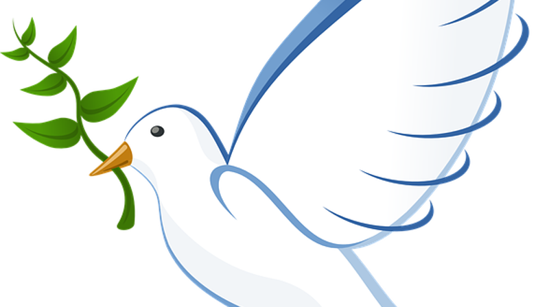 Sorggruppe - noe for deg?