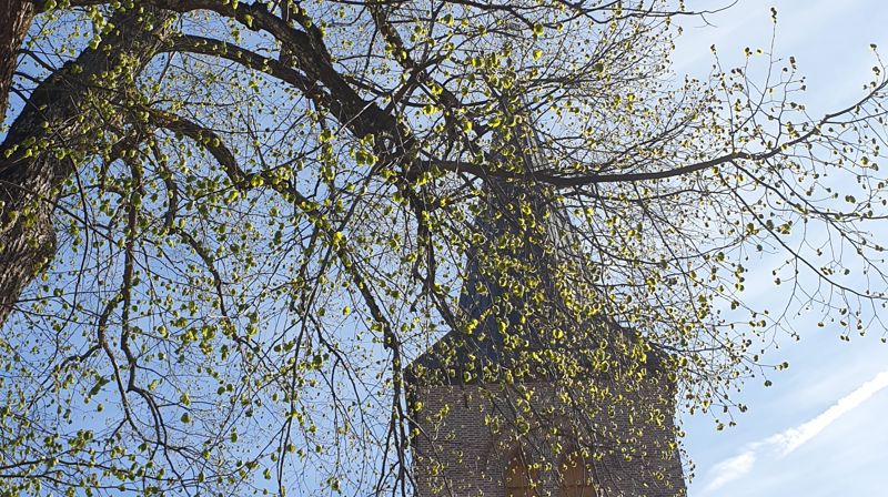 Foto: Karoline Astrup. Asker kirkespir en gryende vårdag