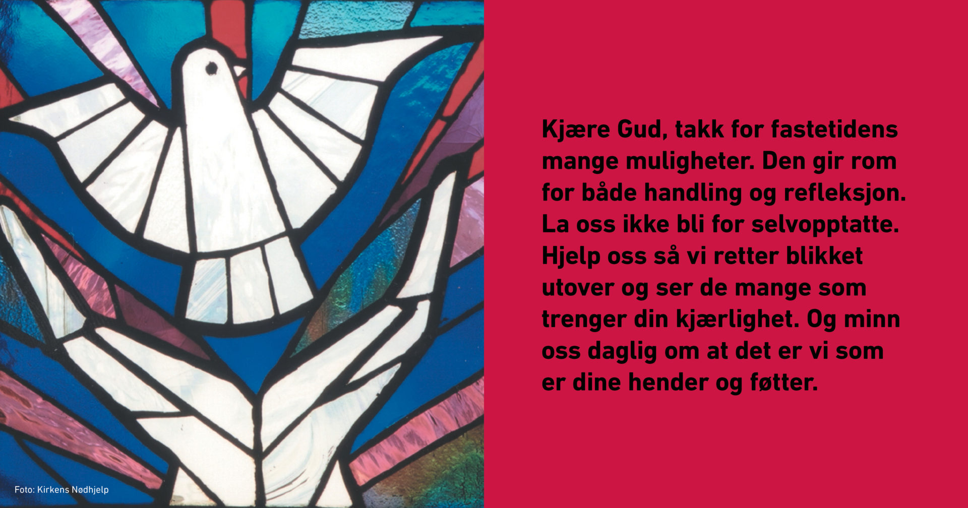 Regnbuebønn fra Kirkens Nødhjelp, rød uke