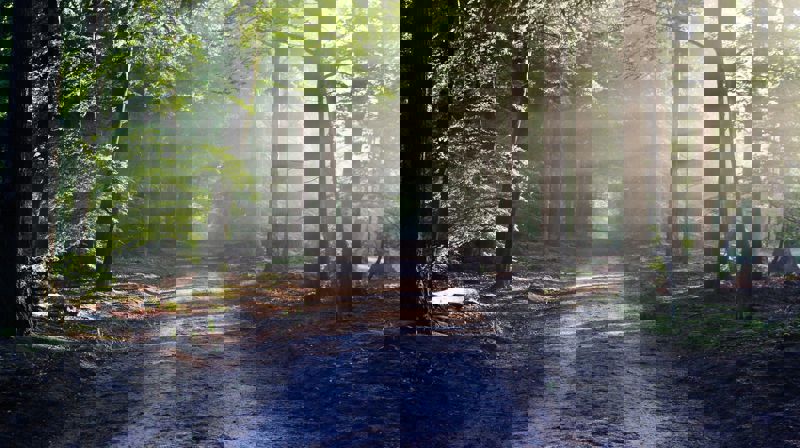 Må din vei komme deg i møte... Foto: Pixabay