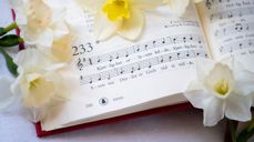 Salmebok og pinseliljer. Foto: Kirkerådet