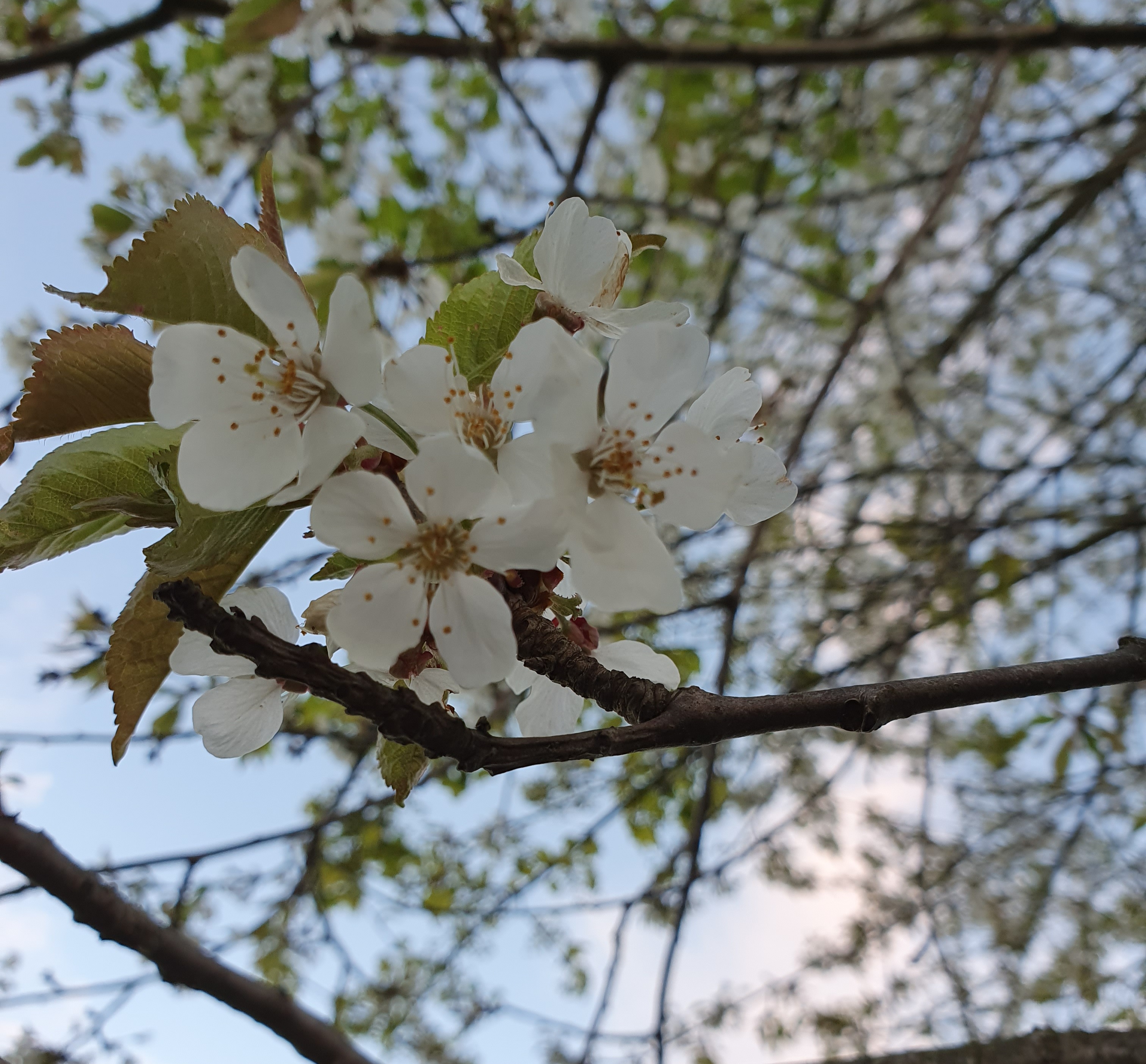 Velkommen til sommerens gudstjenester!