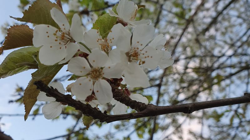 Velkommen til sommerens gudstjenester!