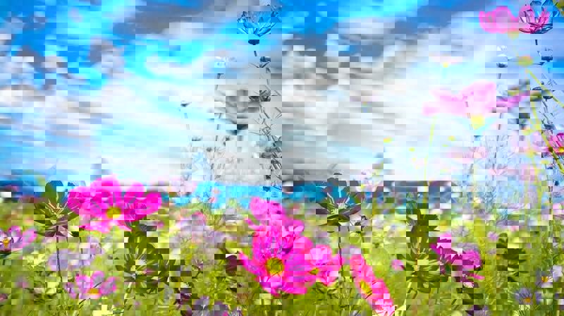 Sommer kommer! Konsert ved Asker kirkes barnekor. I dag klokken 19:00