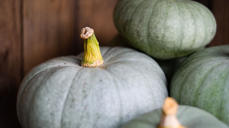 Halloween for 10-åringer