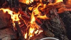 Foto: Elisabeth Hagen Ristesund