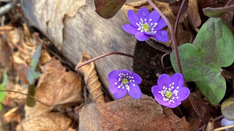 Vårdugnad onsdag 23. april