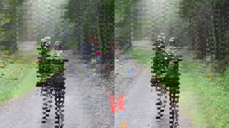 Speider