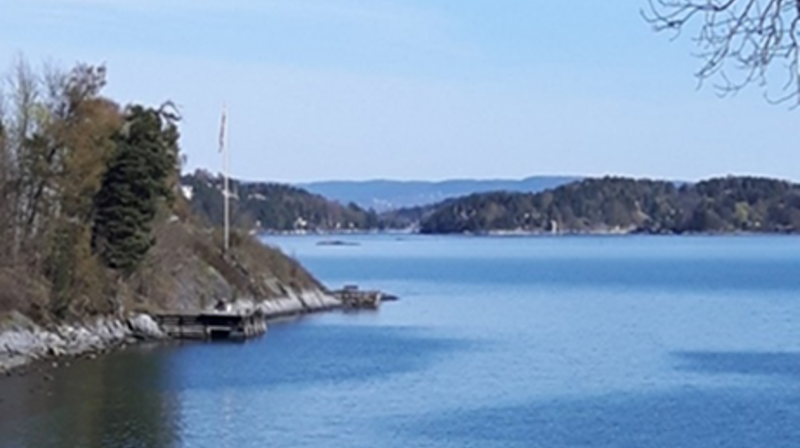 Friluftsgudstjeneste på Hvalstrand 10. juni