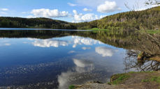 Landskapsbilde med vann og skog. Fotograf: Norunn Edvardsen