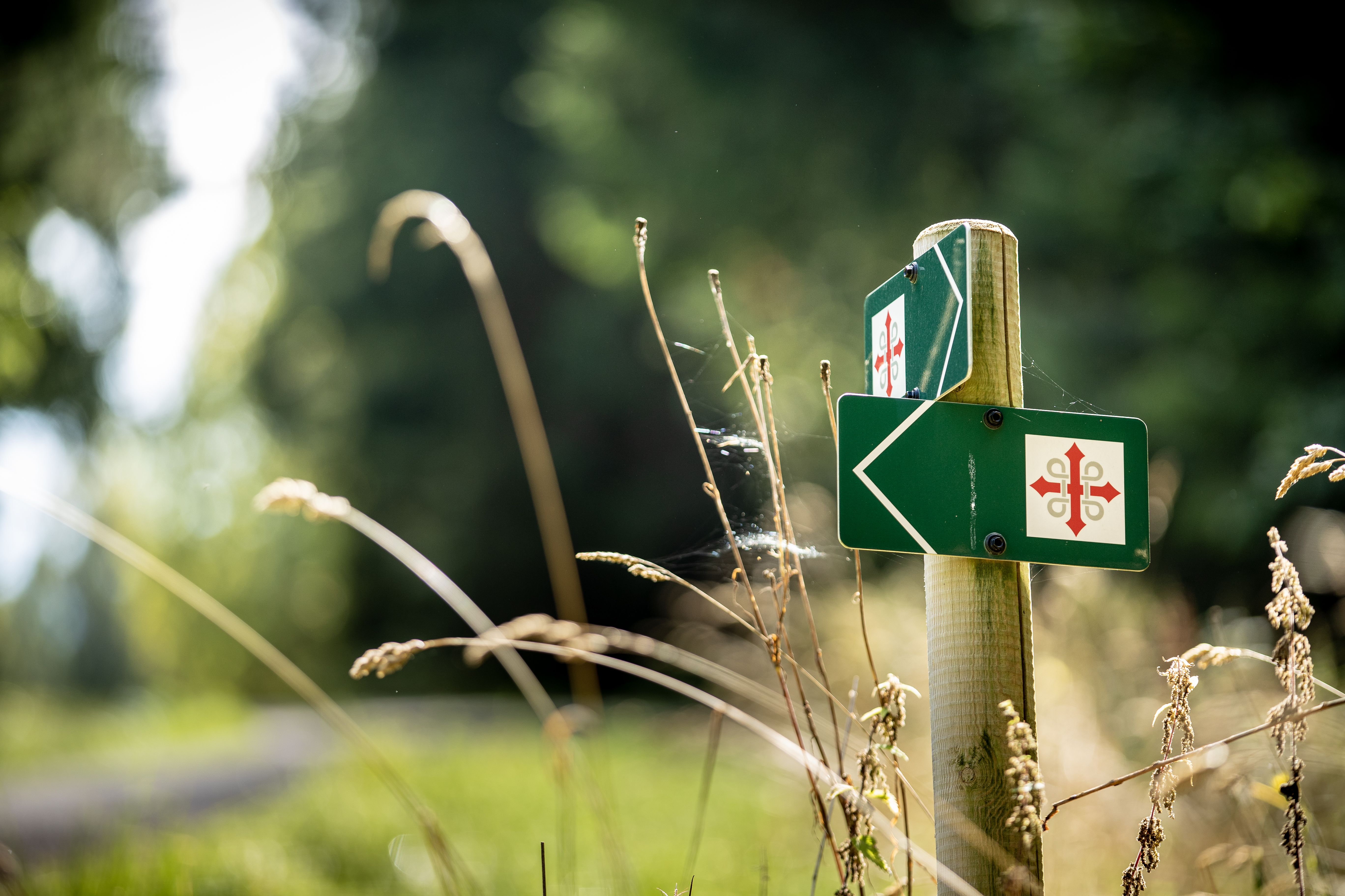 Skilt til pilegrimsled. Fotograf: Bo Mathisen