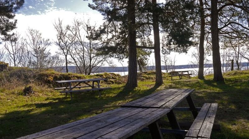 Uteområde med benk. Foto: Strandheim