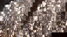 Bilde av speidergutter