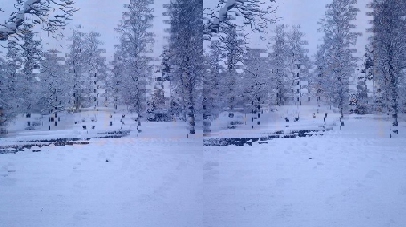 Vinter på Asker kirkegård