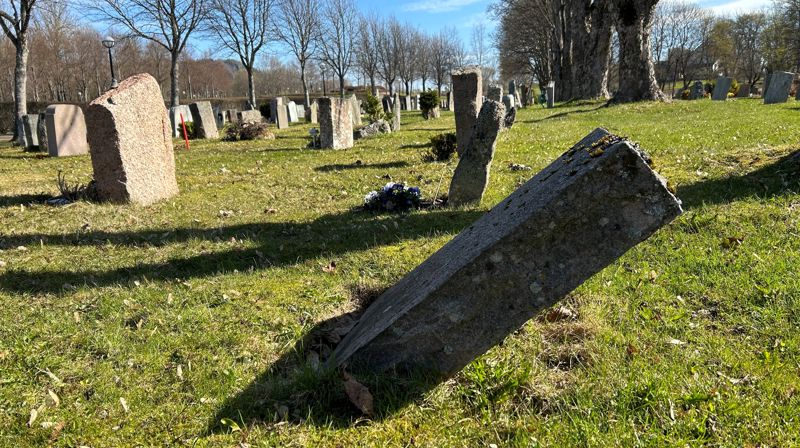 Illustrasjonsfoto, Merete Fossli.