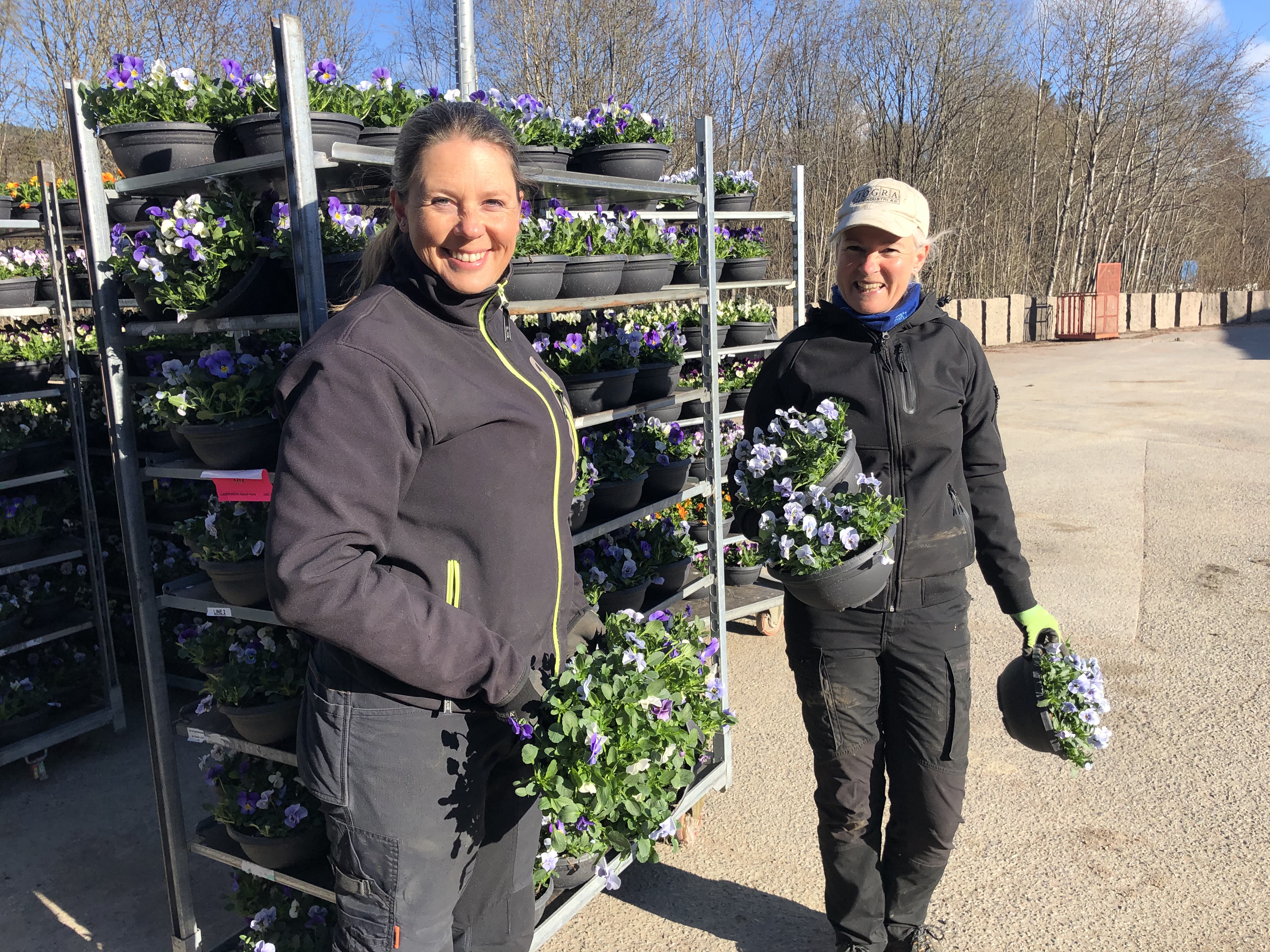 Tone og Anne Grethe er glade for at vårblomstene har kommet. Foto: Merete Fossli