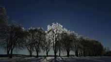 "Jul i Prestegårdsalleen" er i ferd med å bli fast årlig tradisjon første helg i advent. Kanskje kommer et tynt lag med snø i år? Foto: Pål A. Berg