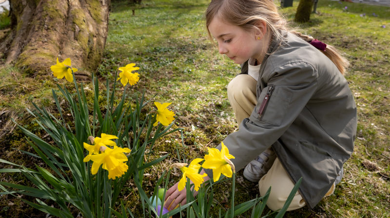 Påsketiden i Hurum-kirkene innledes med palmesøndag 13. april i Kongsdelene kirke. Foto: Terje Peersen