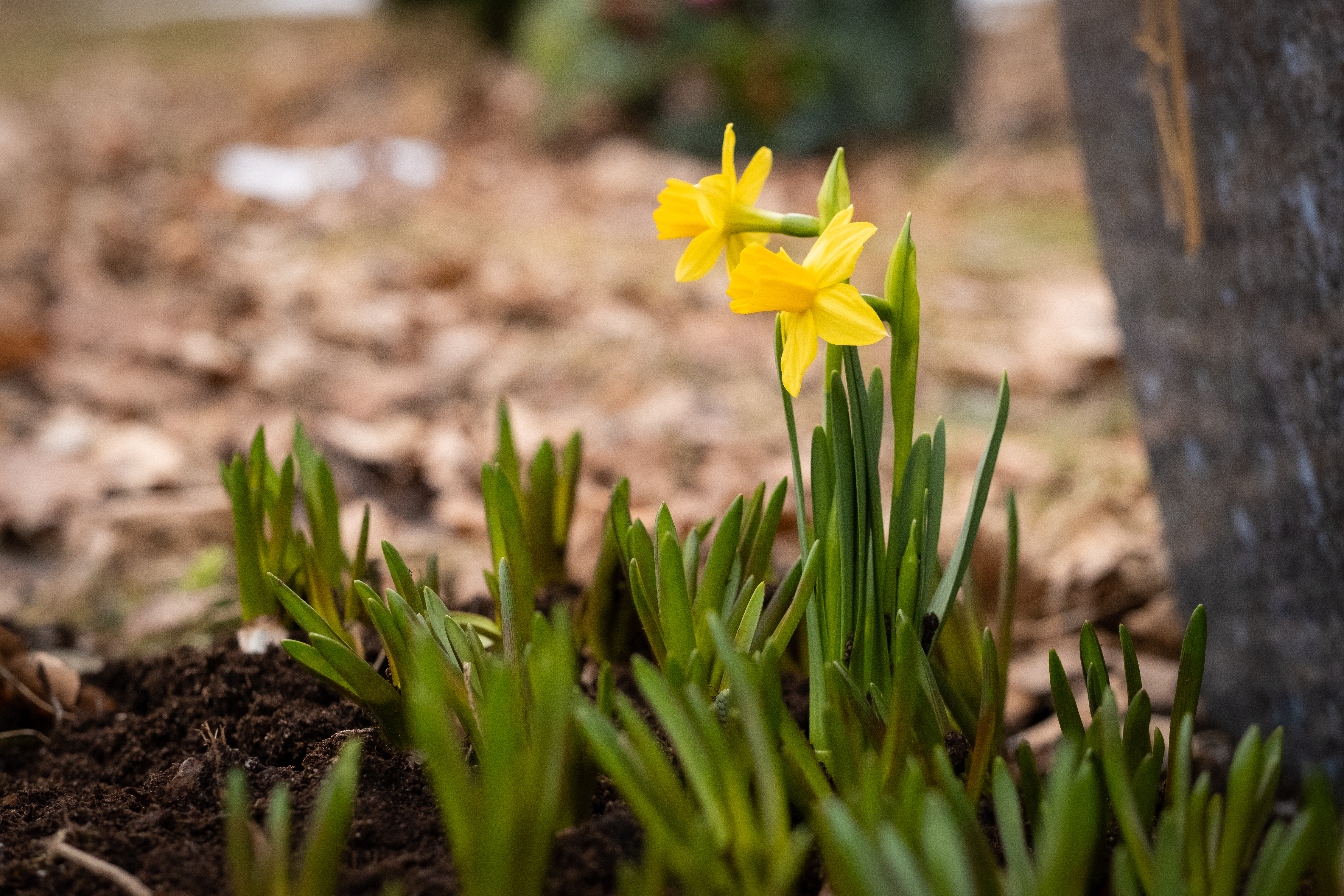 Påsken i Østenstad kirke