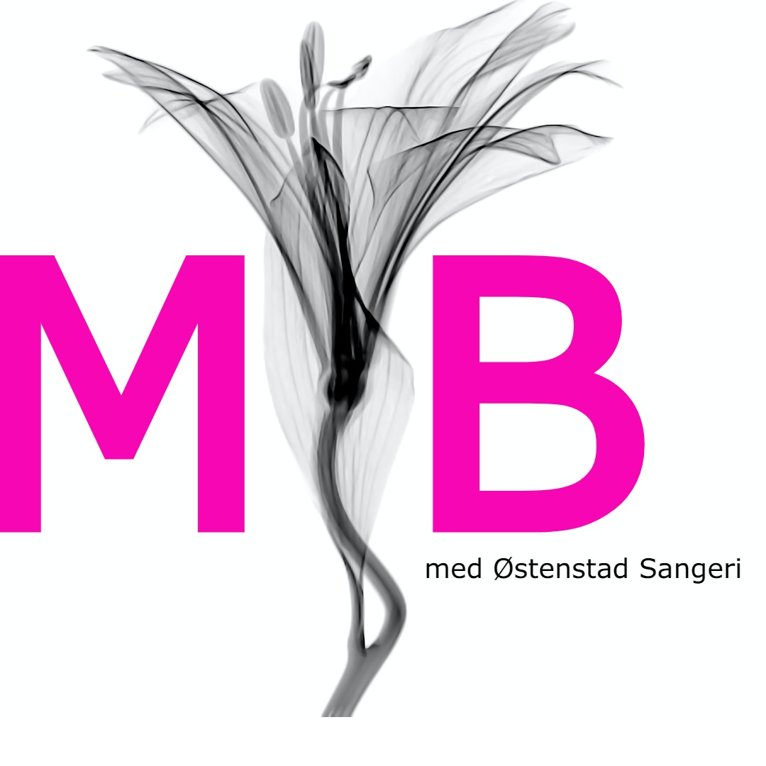 Maria budskapsdag 17.mars