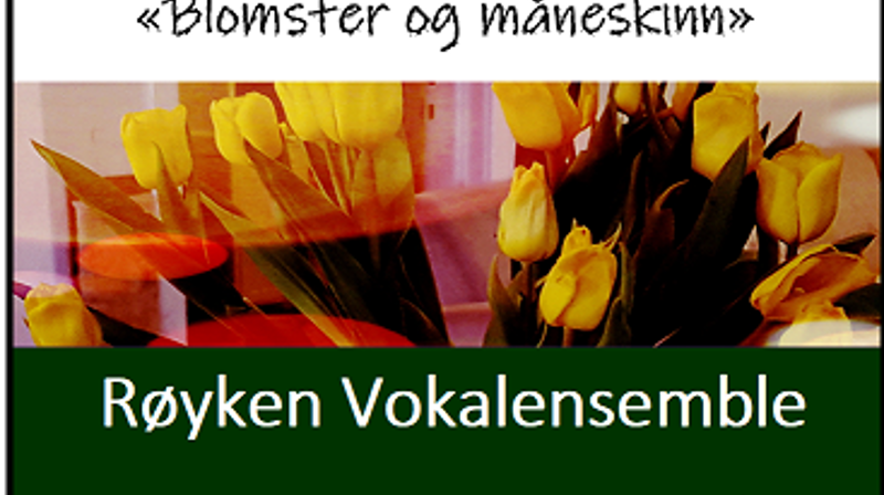 Konsert i Røyken menighetshus