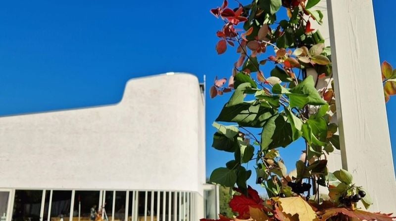 Velkommen til høsttakkefest i Vardåsen kirke
