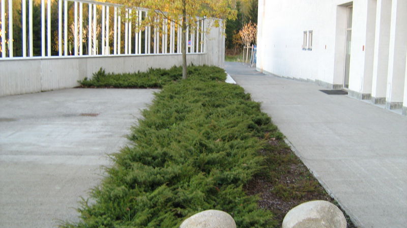 Les menighetsbladet fra Vardåsen kirke