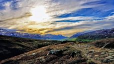 Foto: Toril Johnsen-Dybdal