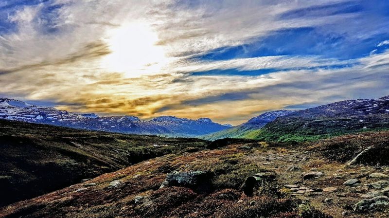 Foto: Toril Johnsen-Dybdal