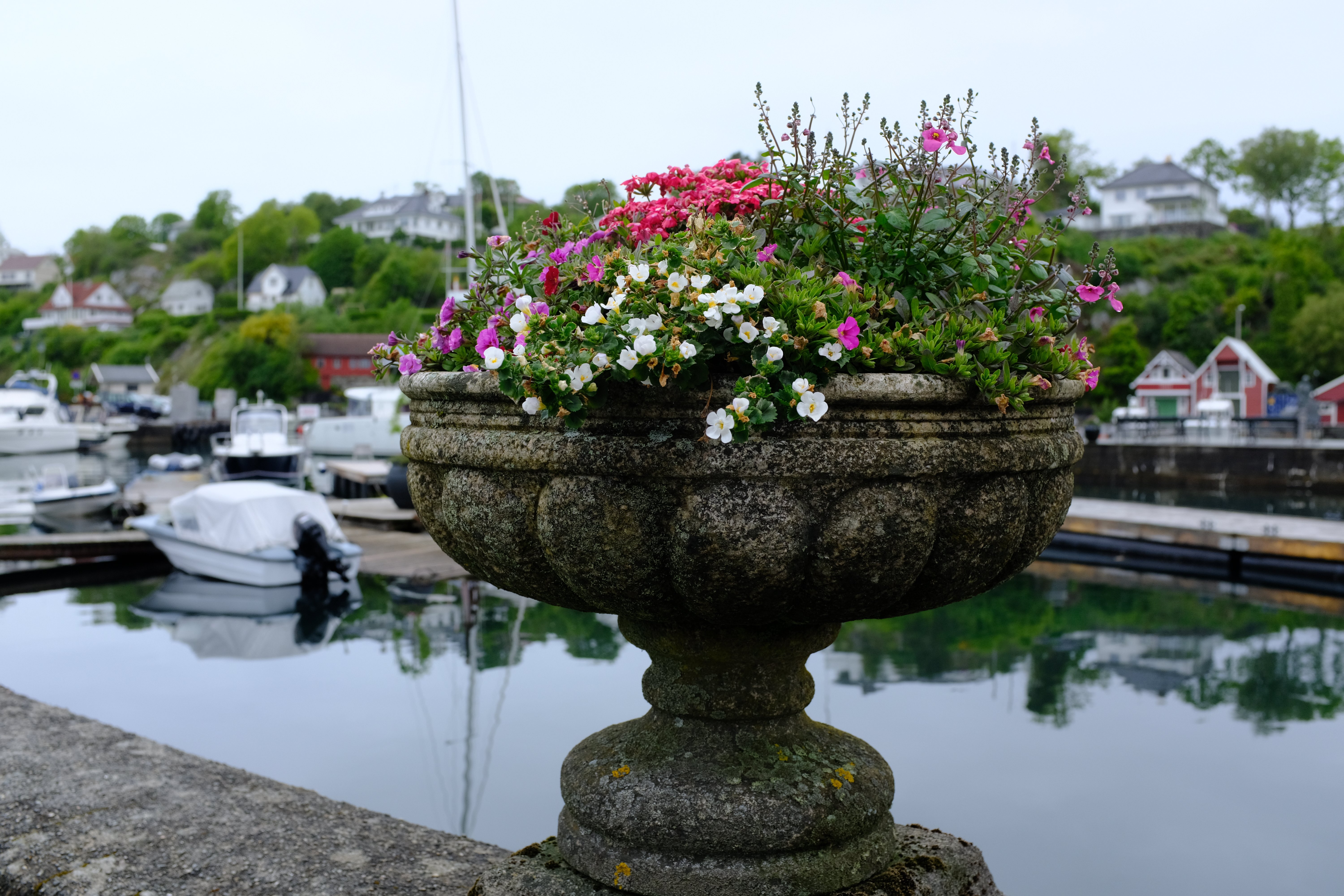 Tilbud for godt voksne