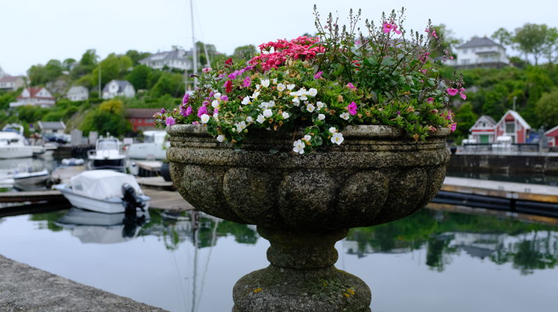 Tilbud for godt voksne