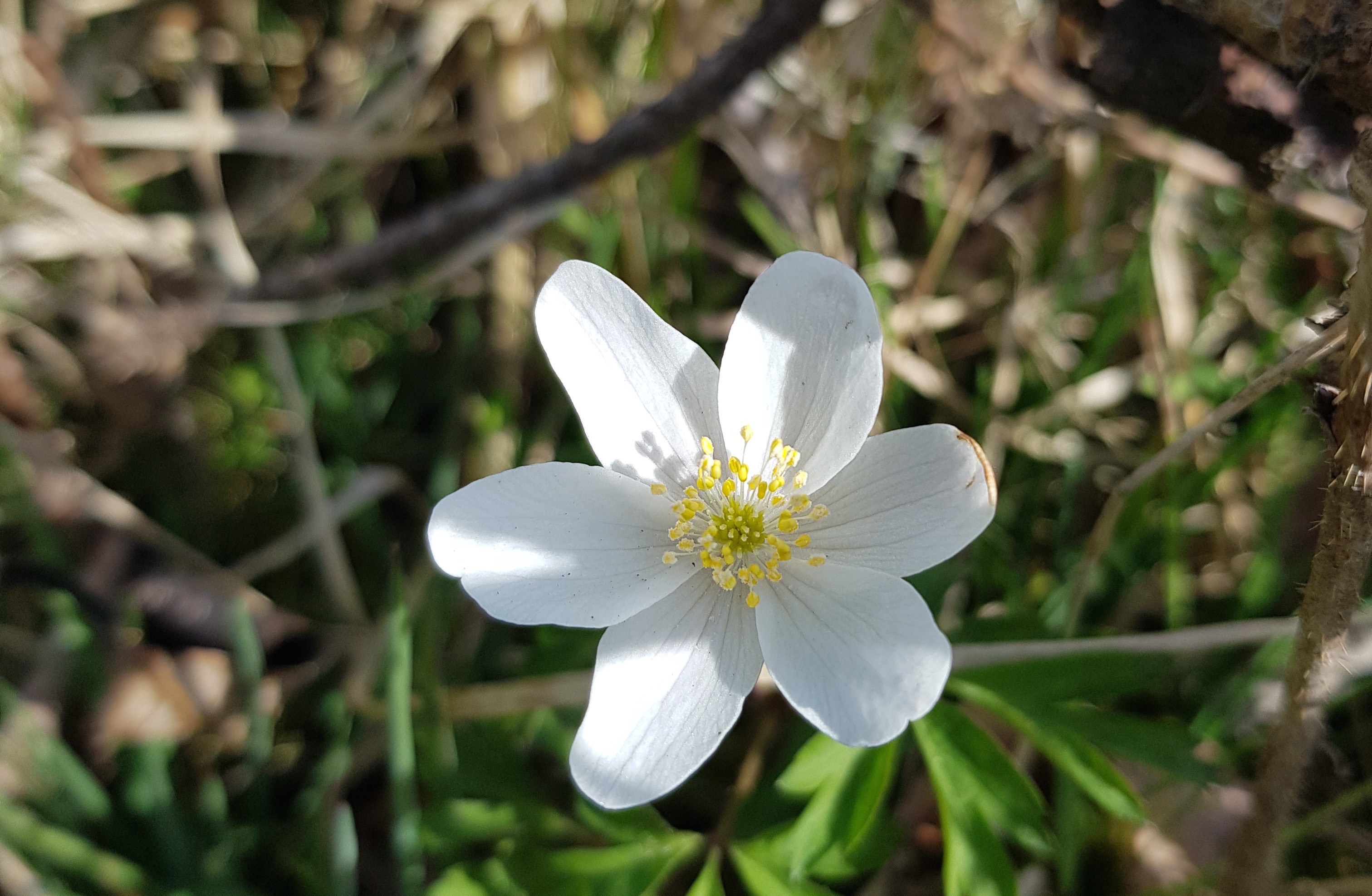 Høsten 2019: Sorggrupper