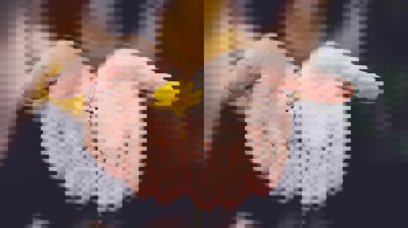 Sorgsamling blir utsatt