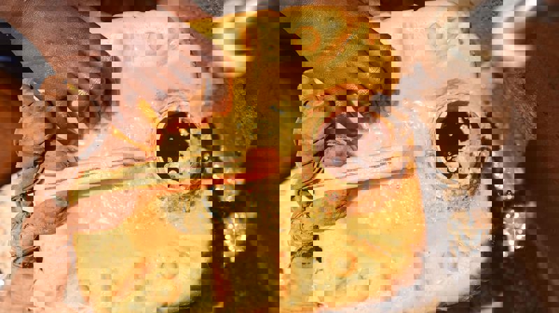 Fasteaksjonen 2019: Kr 147.563,- til Kirkens Nødhjelp