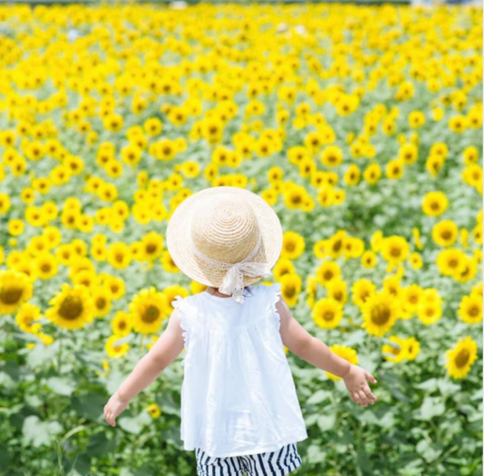 Sommerferie i Stjernen Åpen Barnehage☀️