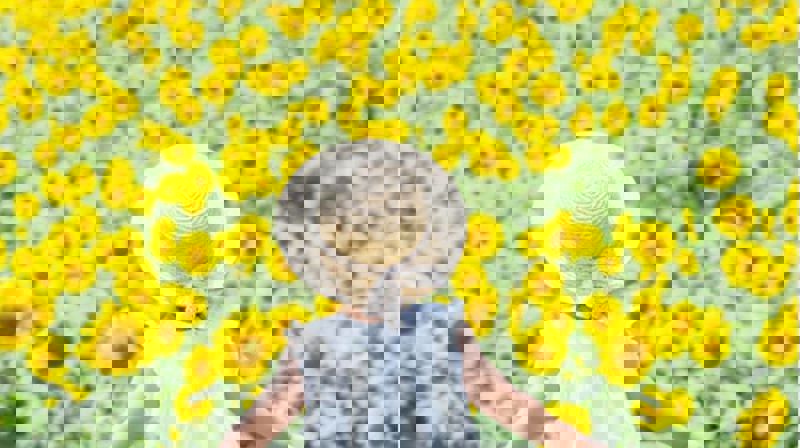 Sommerferie i Stjernen Åpen Barnehage☀️