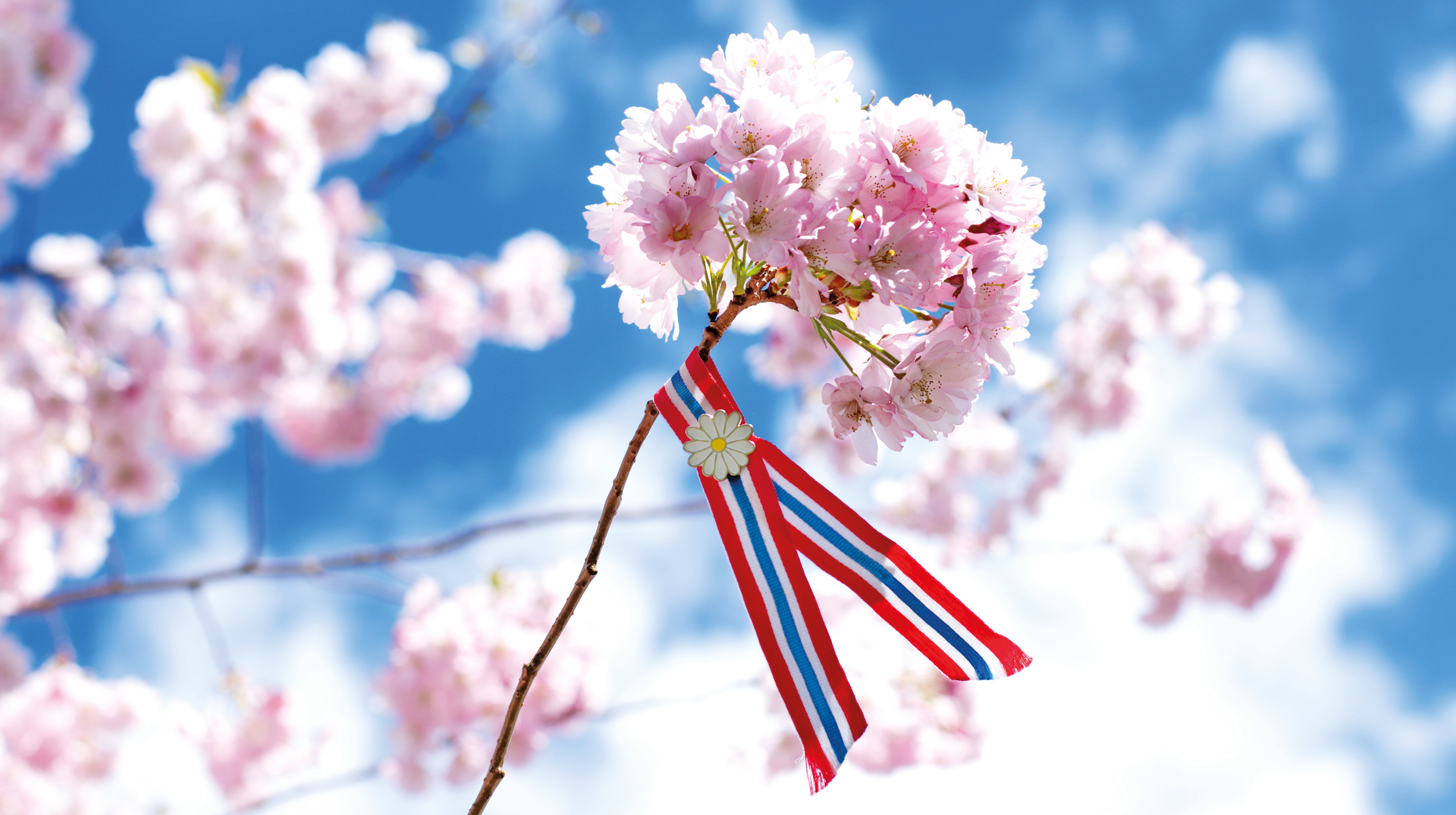 FOTO: Shutterstock