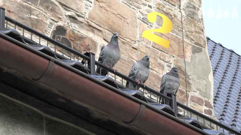 Luke 2 - Katarinahospitalet og Mariakirken