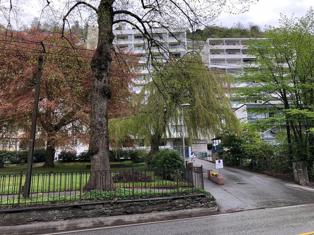 Stiftelsen domkirkeboligene
