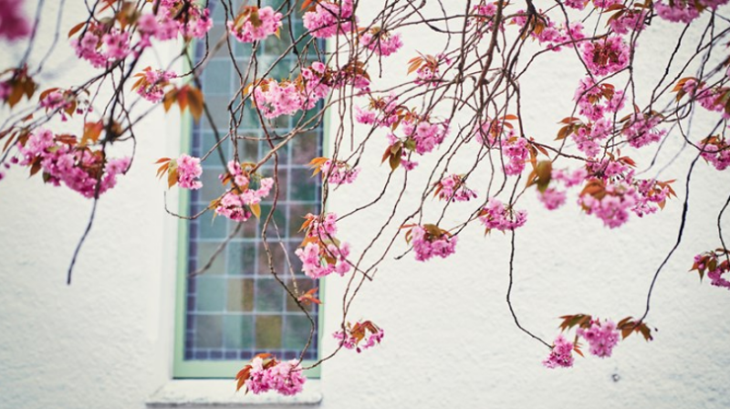 En hyllest til kirkene våre