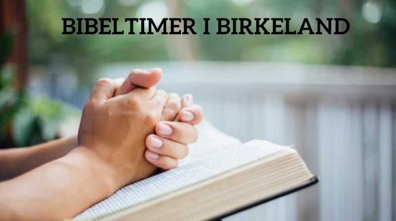 Bibeltimene er for voksne i alle aldre. Velkommen til samtale og refleksjon. Foto: unsplash.com