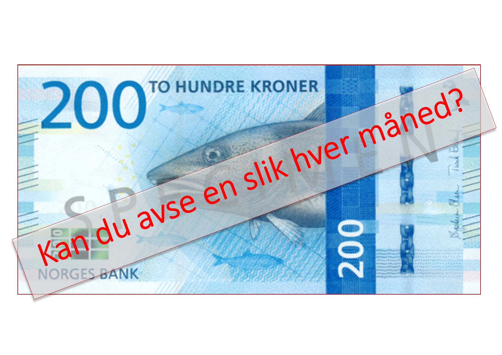 Kan vi utfordre deg?